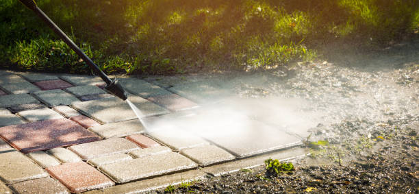 Best Soft Washing for Delicate Surfaces in Buena, NJ